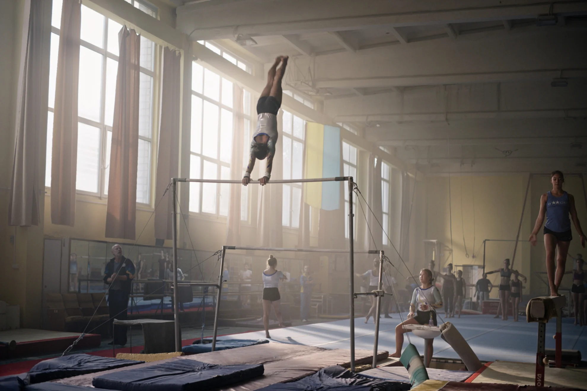 Olga hero banner image