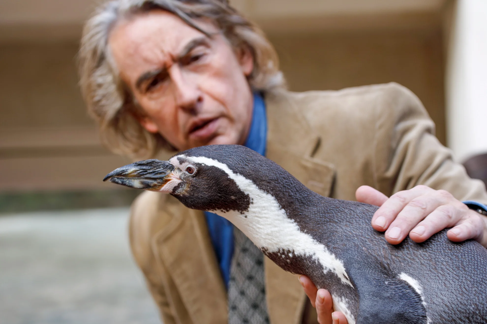 The Penguin Lessons hero banner image placeholder