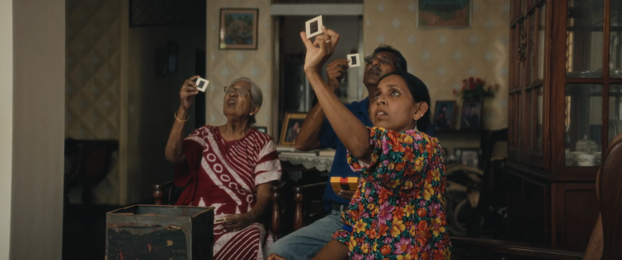 Elephants & Squirrels hero banner image placeholder