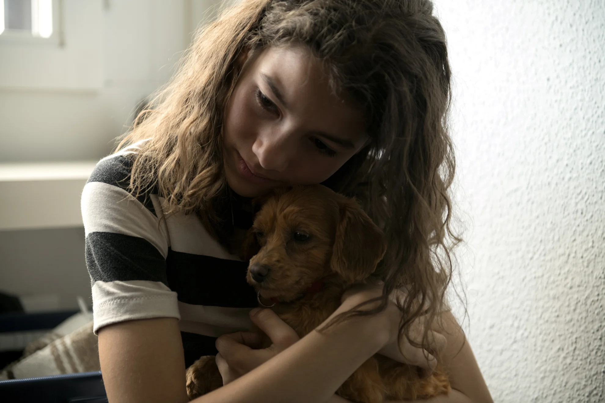 Platzspitzbaby hero banner image placeholder