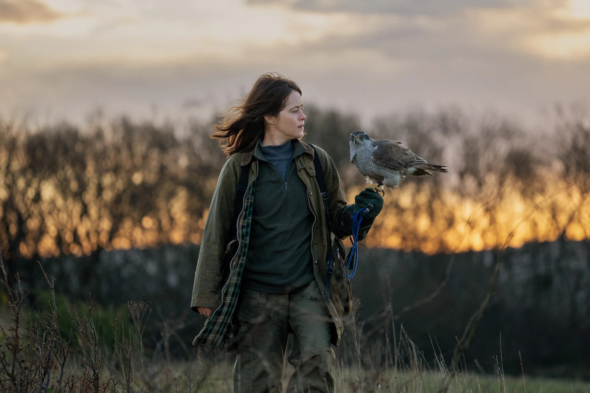 H Is for Hawk hero banner image placeholder