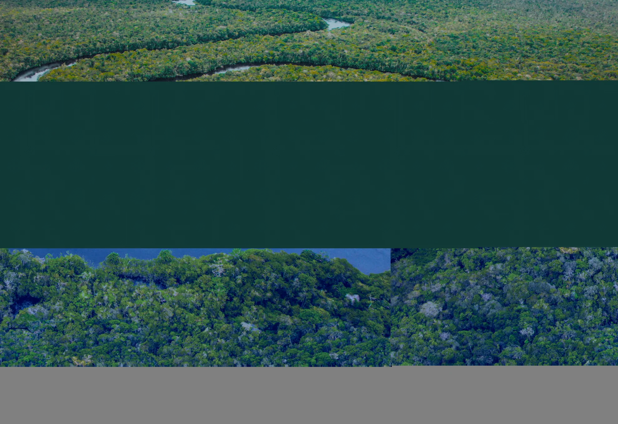 Tereza - O Último Azul hero banner image placeholder