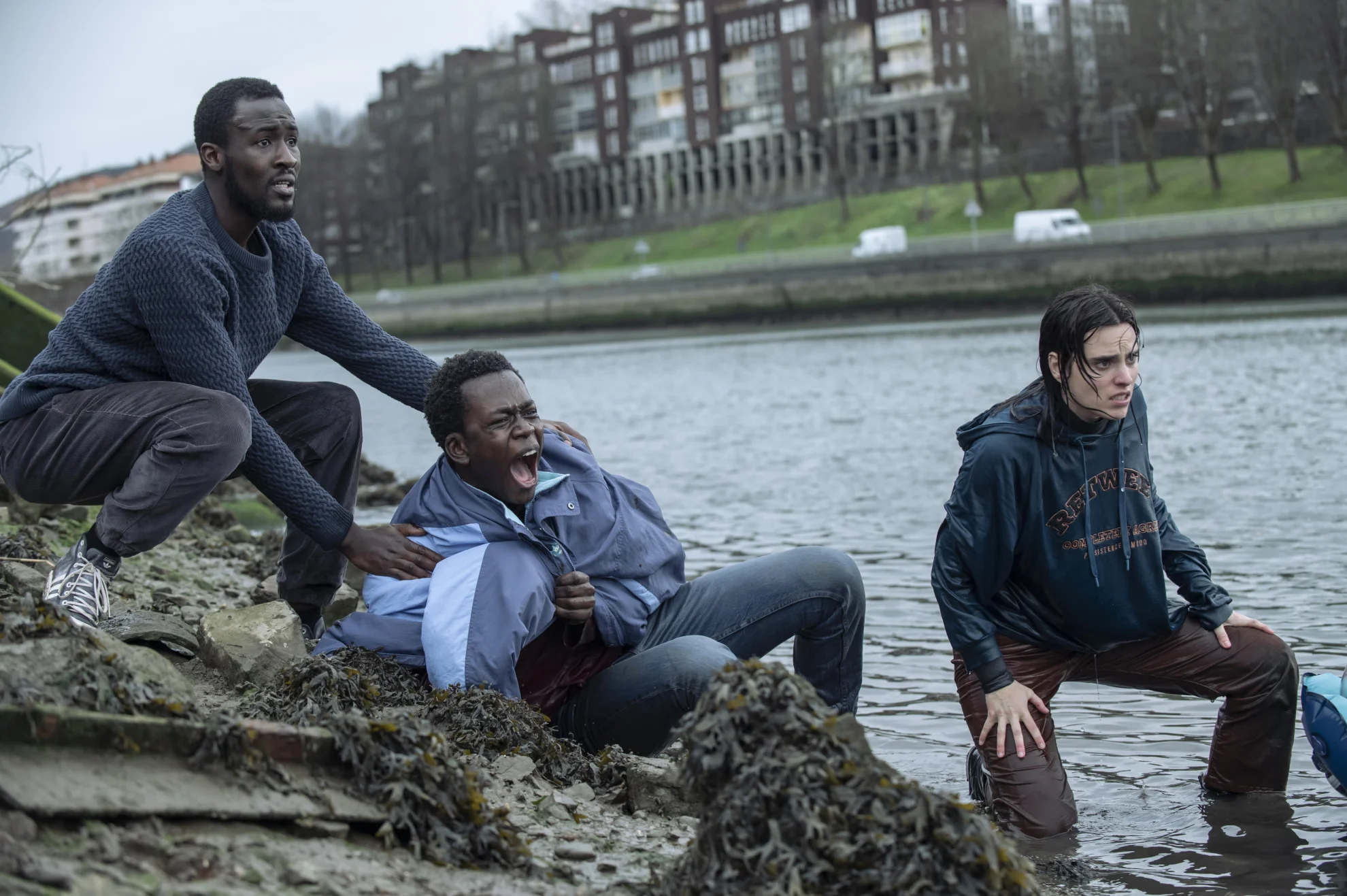 Pheasant Island hero banner image