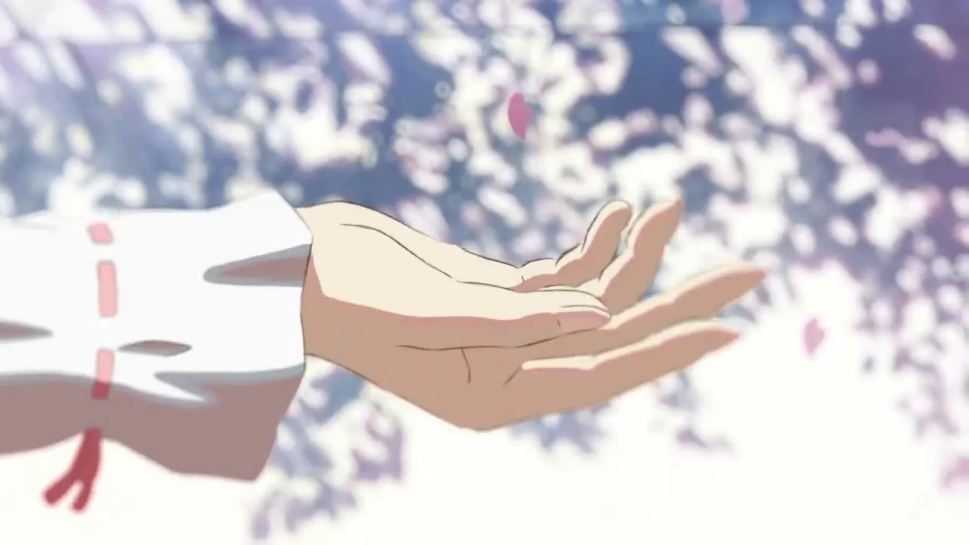 5 Centimeters per Second hero banner image placeholder