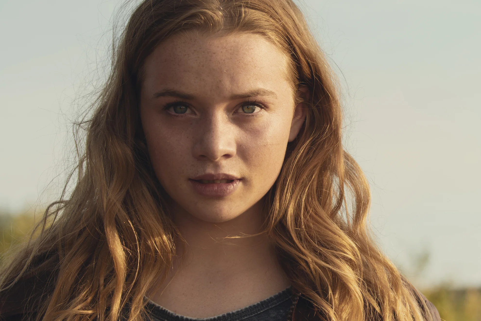 Dem Horizont so nah hero banner image placeholder