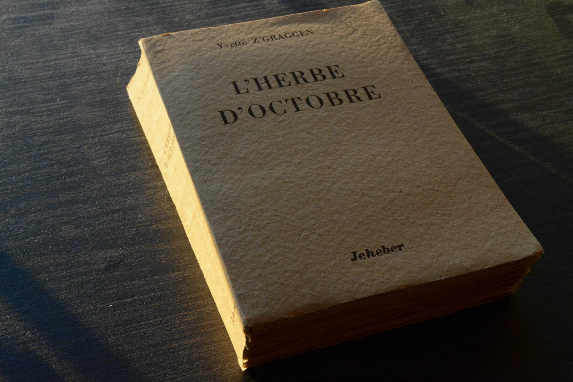 Yvette Z'Graggen – Une femme au volant de sa vie hero banner image placeholder