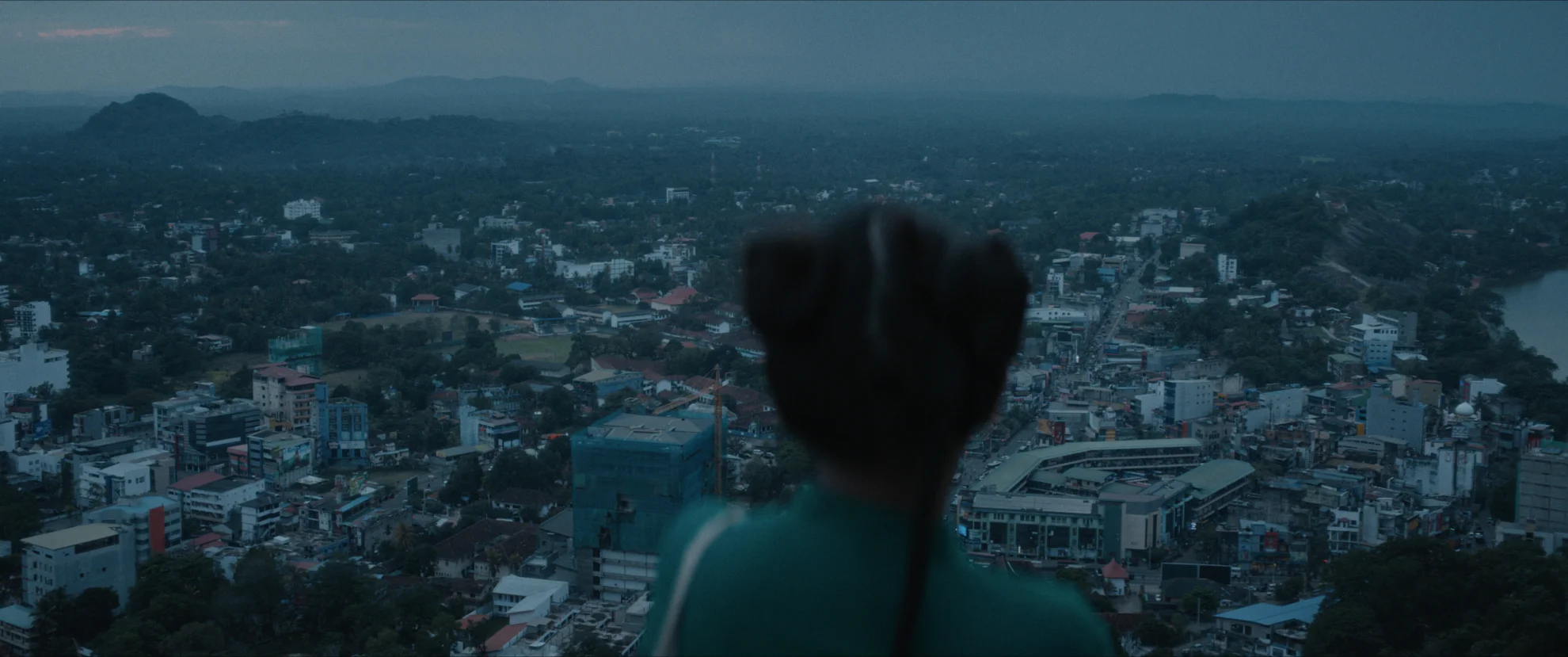 Elephants & Squirrels hero banner image placeholder