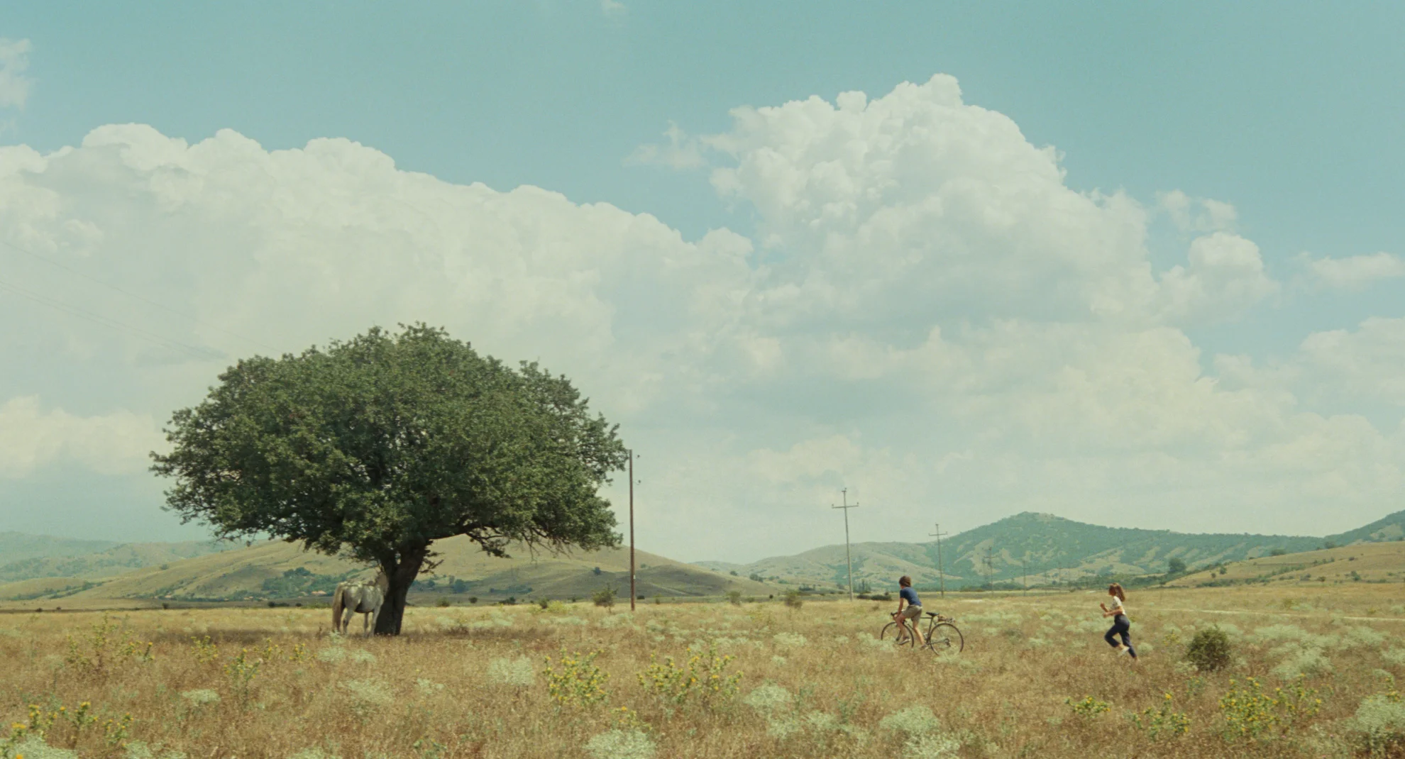 Le Milieu de l'horizon hero banner image placeholder