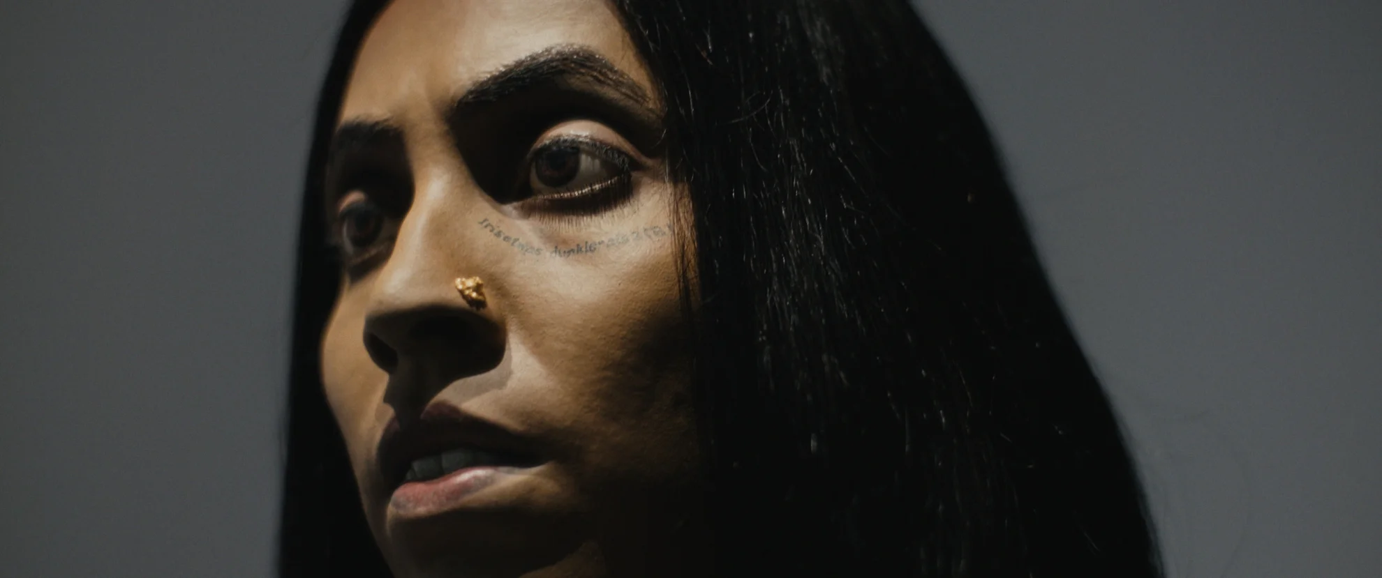 Elephants & Squirrels hero banner image placeholder