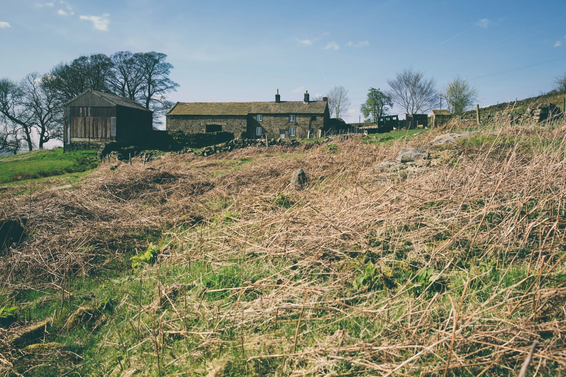 God's Own Country hero banner image placeholder