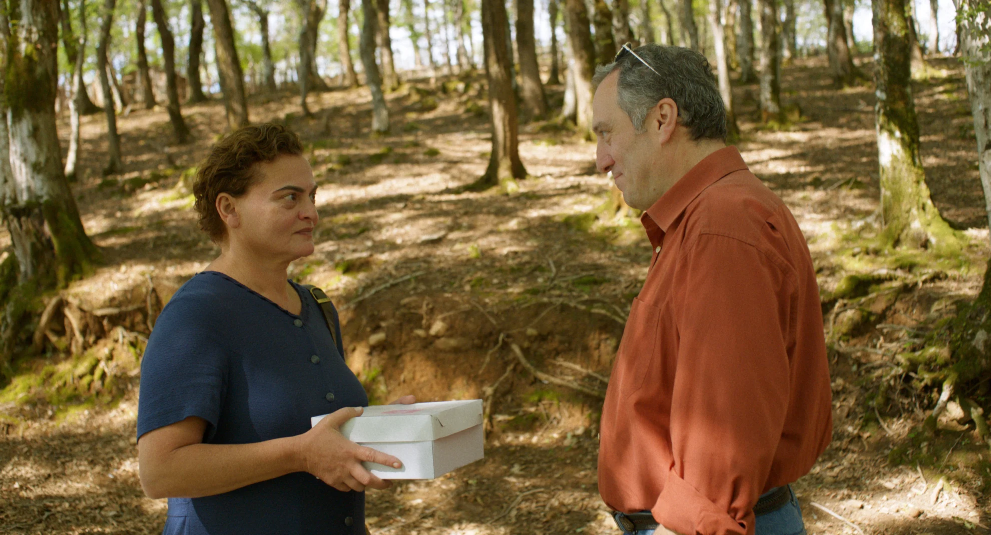 Blackbird Blackbird Blackberry hero banner image placeholder