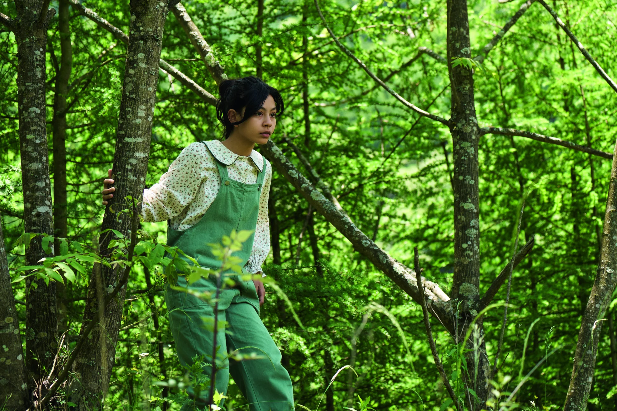 Moon, der Panda hero banner image placeholder