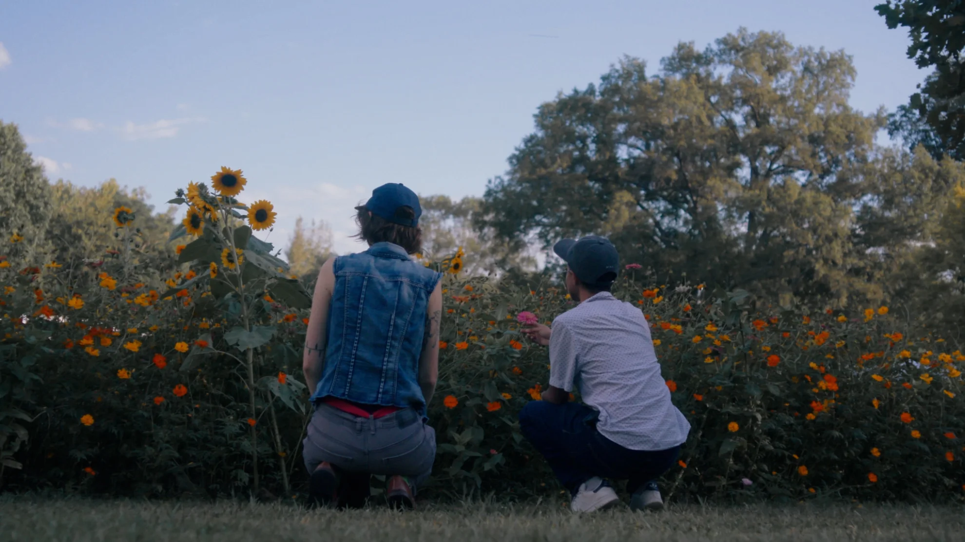 What Will I Become hero banner image