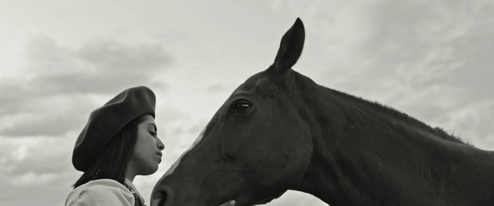 Gaucho Gaucho hero banner image placeholder