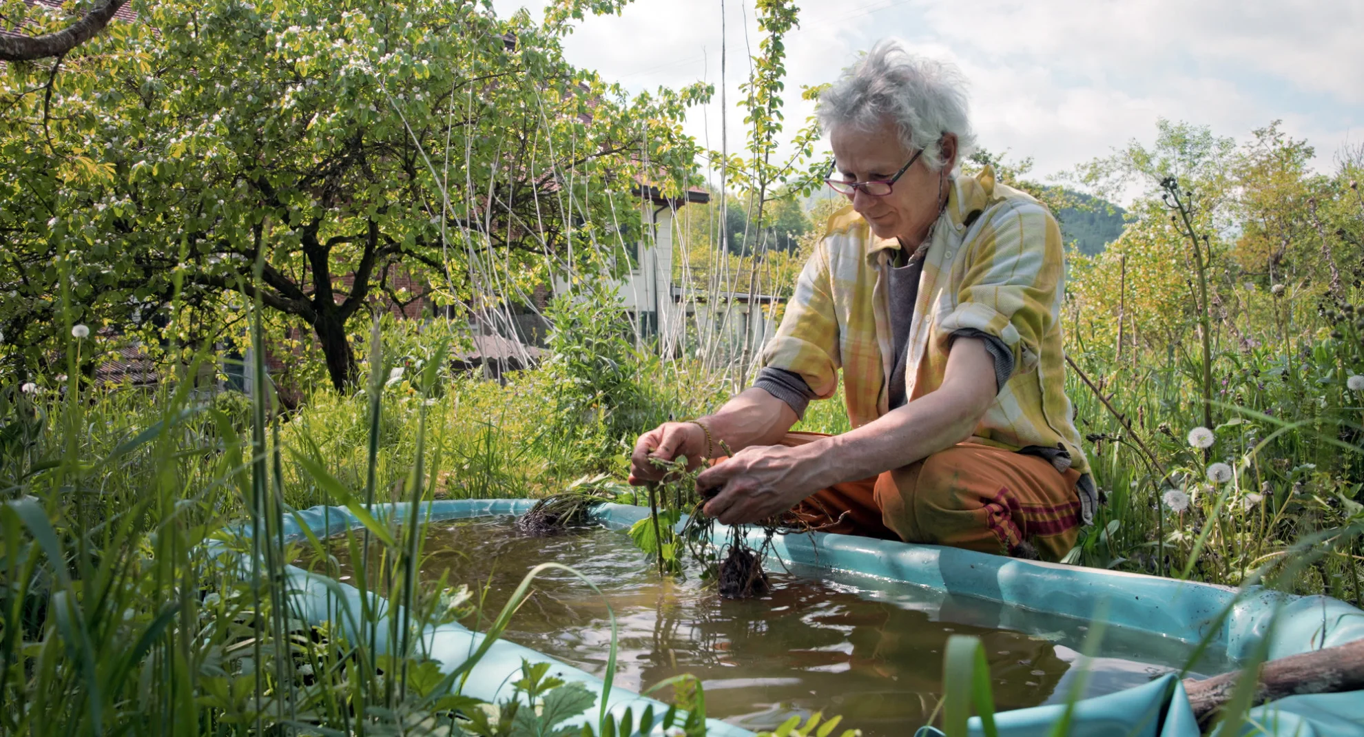 Unter Pflanzen - Ein Perspektivenwechsel hero banner image placeholder