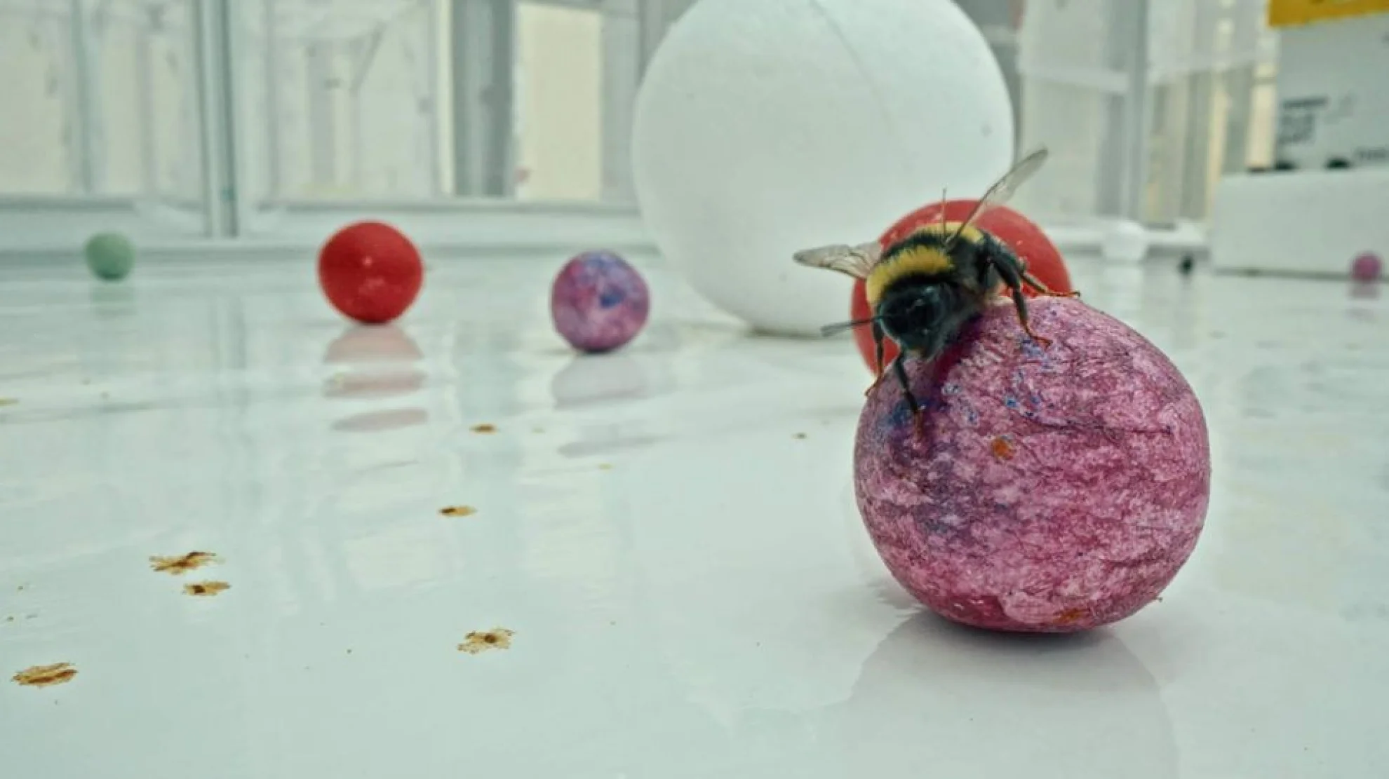 Unter Pflanzen - Ein Perspektivenwechsel hero banner image placeholder