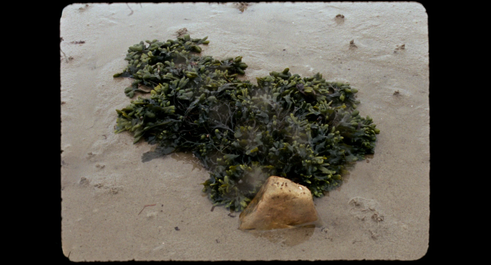 Kurzfilm III hero banner image