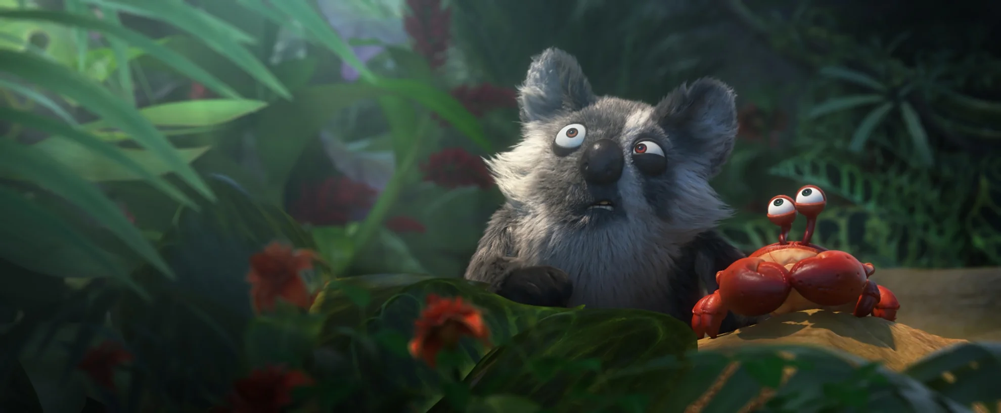 Dschungelhelden hero banner image placeholder