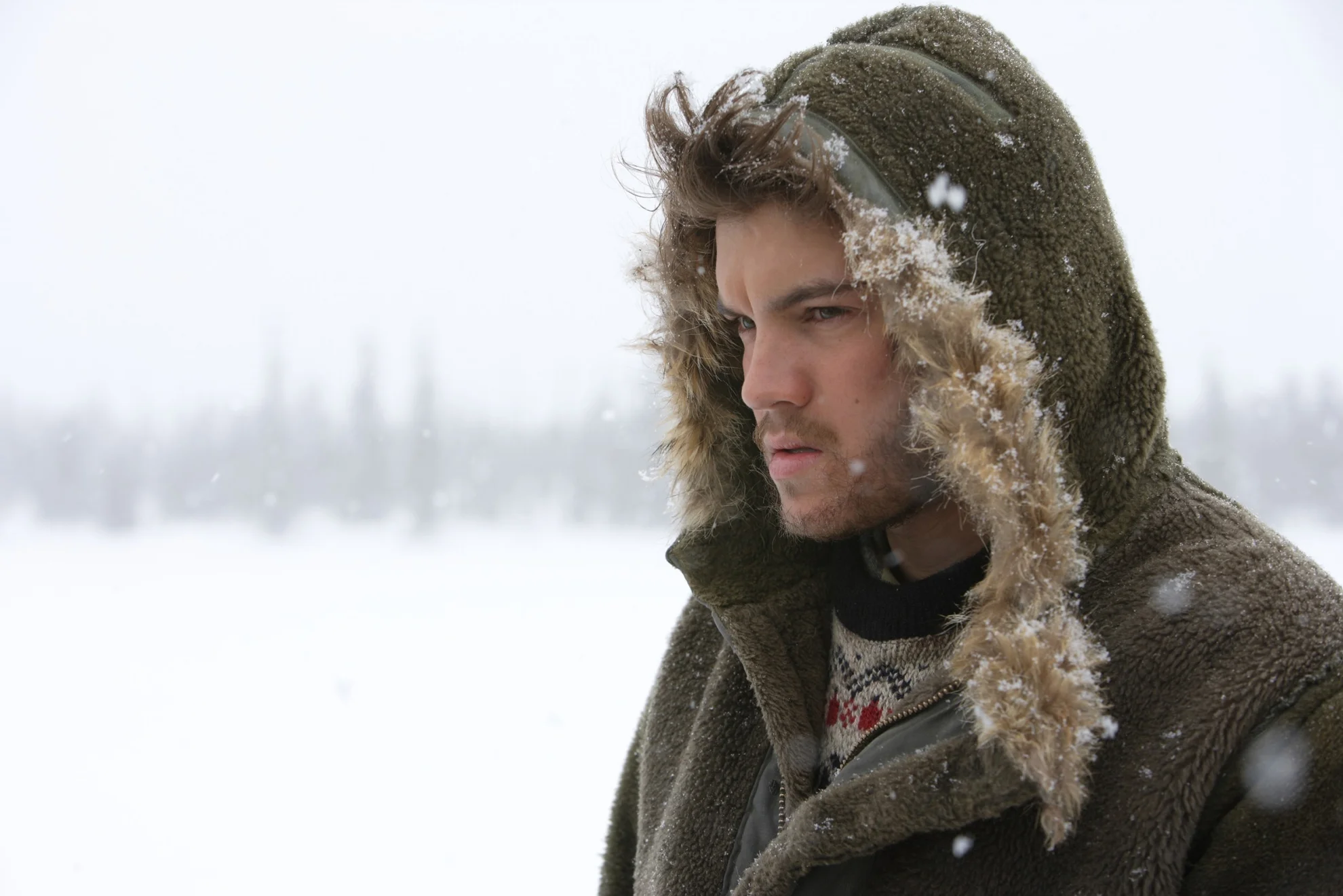 Into the Wild hero banner image