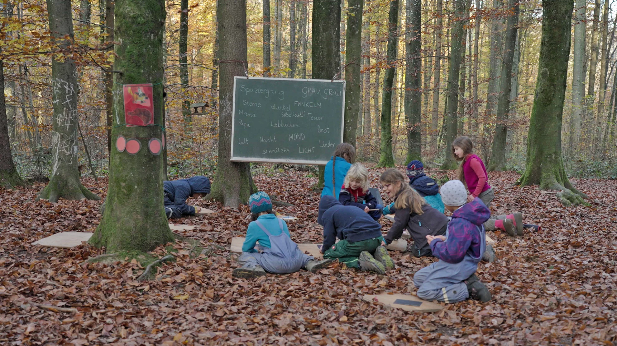 Von Kindern und Bäumen – Ein Jahr in der Waldschule hero banner image placeholder