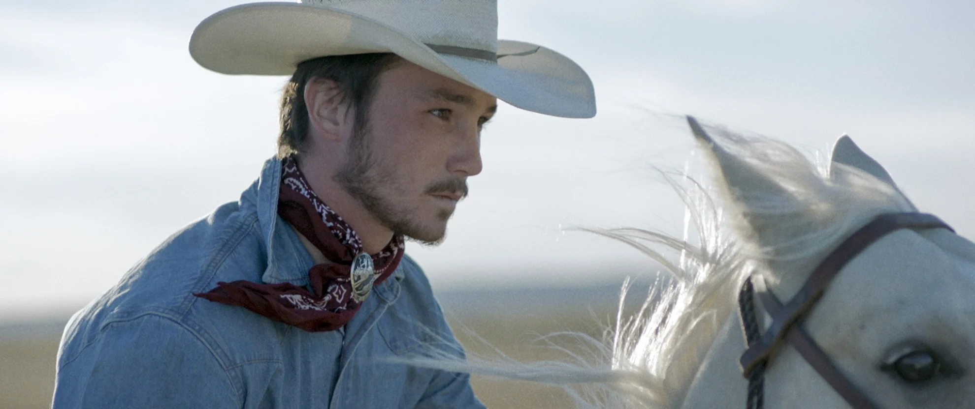 The Rider hero banner image