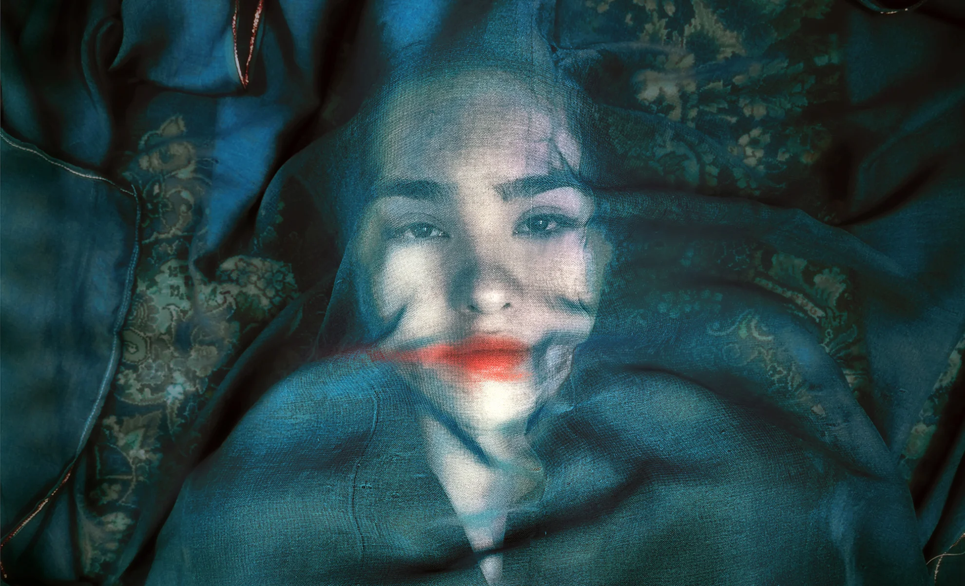 A Fox Under a Pink Moon hero banner image