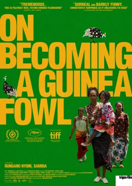 On Becoming a Guinea Fowl film poster image