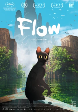 Flow film poster image