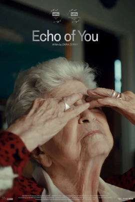 Echo of You film poster image